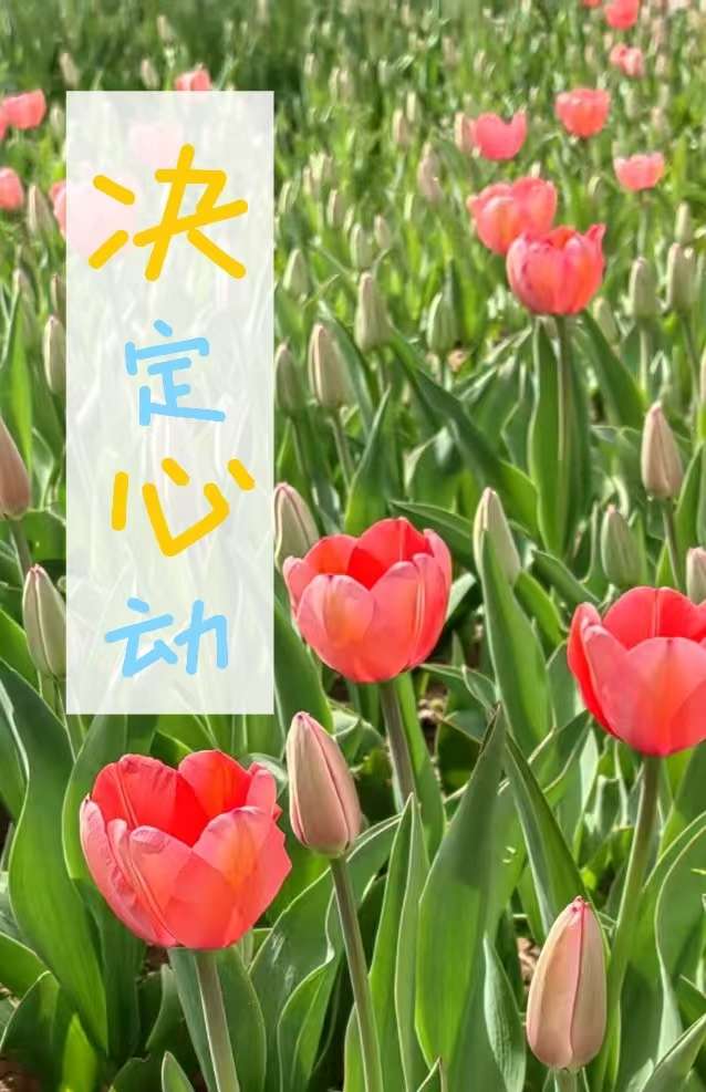 决定心动