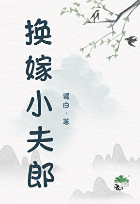 换嫁小夫郎