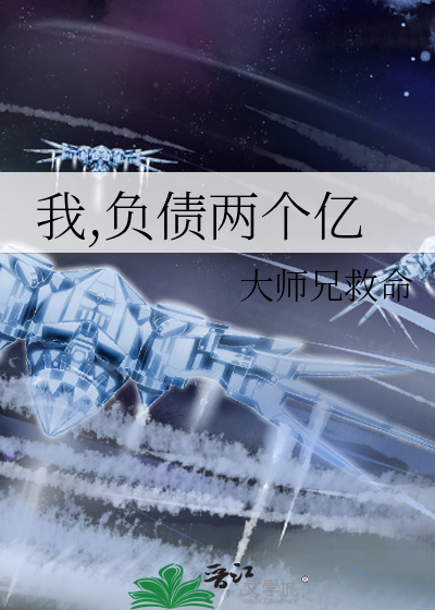 我,负债两个亿