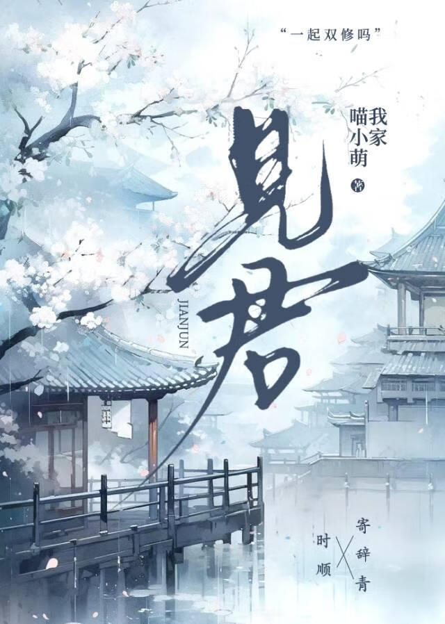 见君